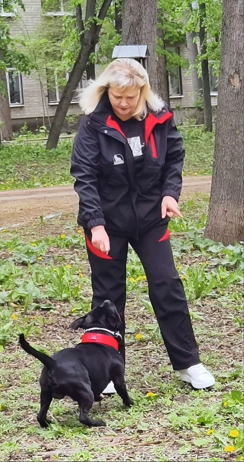 Фотография к отзыву от Елена. Товар: <a href='/catalog/product/bryuki-softshell/'>Брюки Softshell (утепленные)</a>